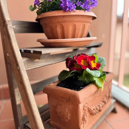 Appartamento Chianti House Garden - 30 Min Firenze Centro Pelago
