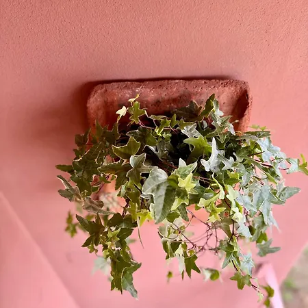 Apartment Chianti House Garden - 30 Min Firenze Centro