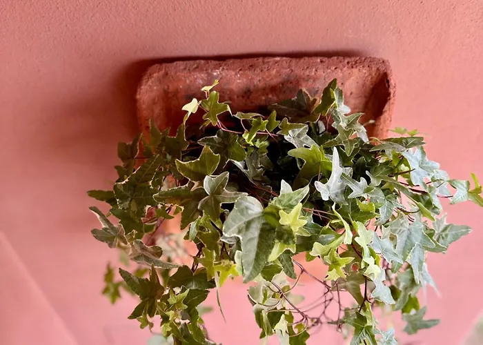 Apartamento Chianti House Garden - 30 Min Firenze Centro
